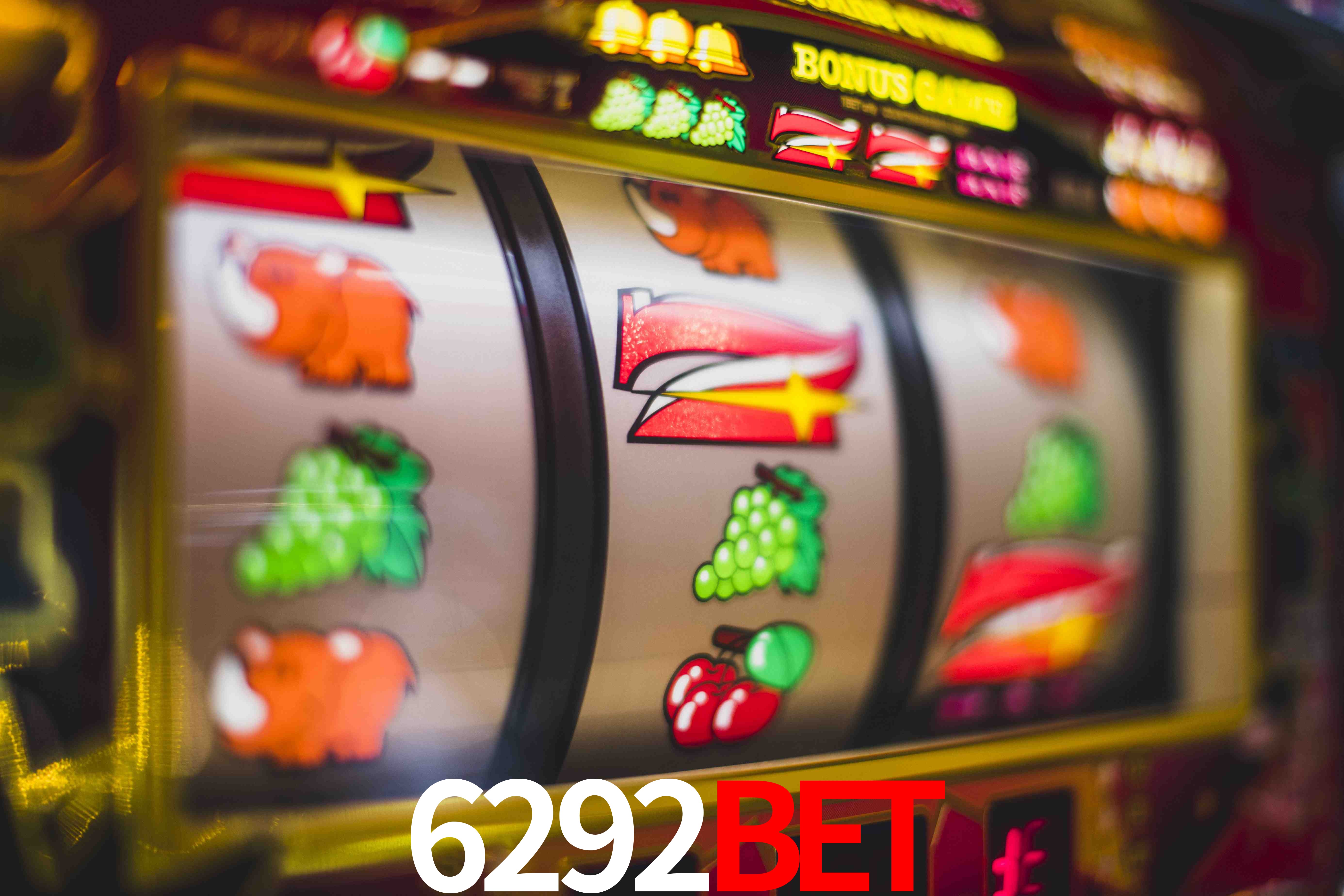 Statistics 6292bet